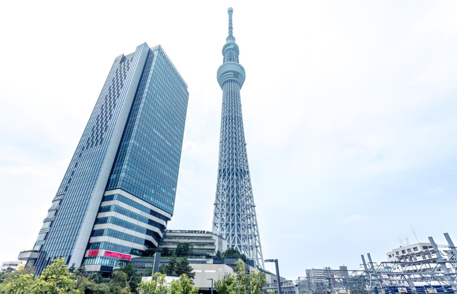 Tokyo: Customizable Day Trip Within Tokyo & English-Driver - Ueno Park and Akihabara: Culture + Nerd Heaven (Choose Your Pace)