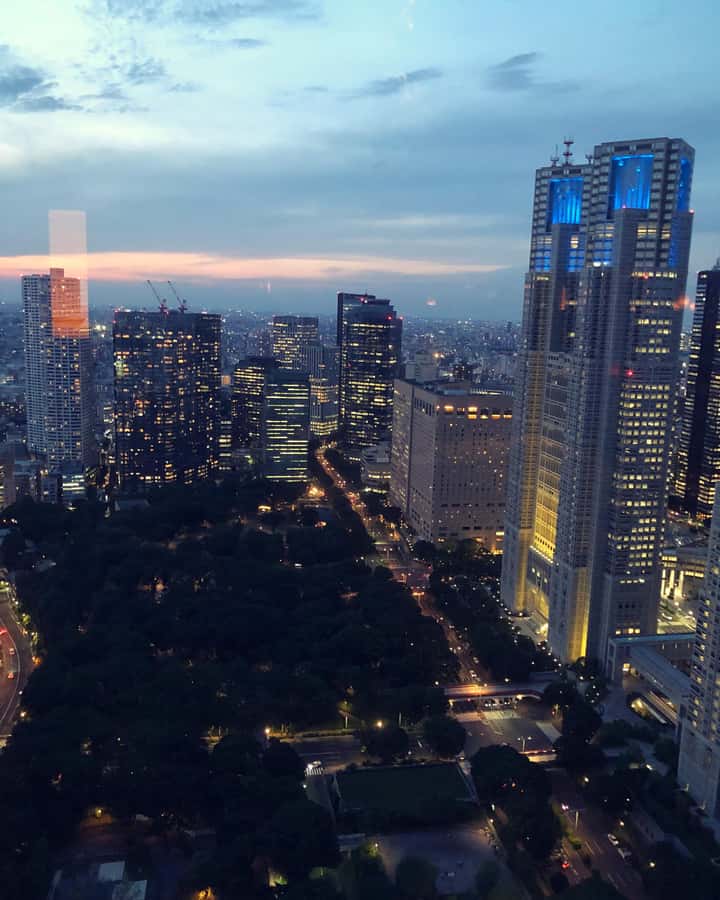 Tokyo: Customizable Day Trip Within Tokyo & Its Attractions - A private driver that lets you design your Tokyo day