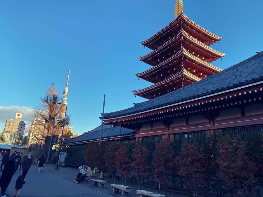 Tokyo: Customizable Day Trip Within Tokyo & Its Attractions - Tokyo Tower: worth it, but plan for queue time