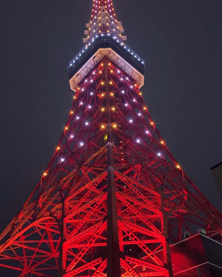 Tokyo: Customizable Day Trip Within Tokyo & Its Attractions - Language support: multiple options, plus a simple backup plan