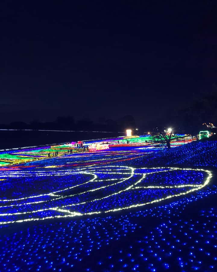 Tokyo: Customizable Day Trip Within Tokyo & Its Attractions - Who this Tokyo day trip fits best