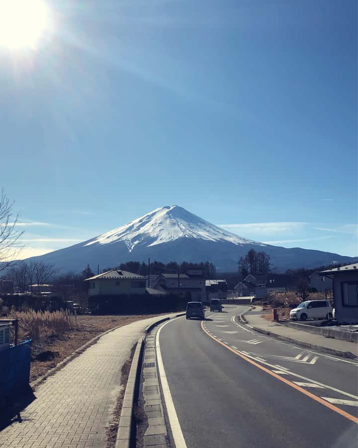 Tokyo: Customizable Day Trip Within Tokyo & Its Attractions - Booking advice: should you book this customizable Tokyo day trip?
