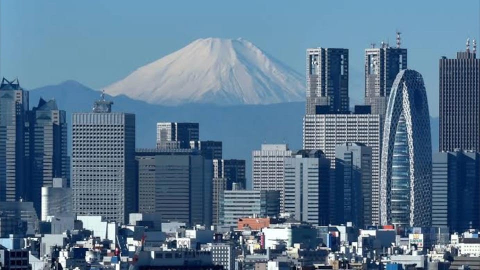 Tokyo: Customizable Private Guided Walking Tour - Building Your Own Tokyo Day Around Your Interests