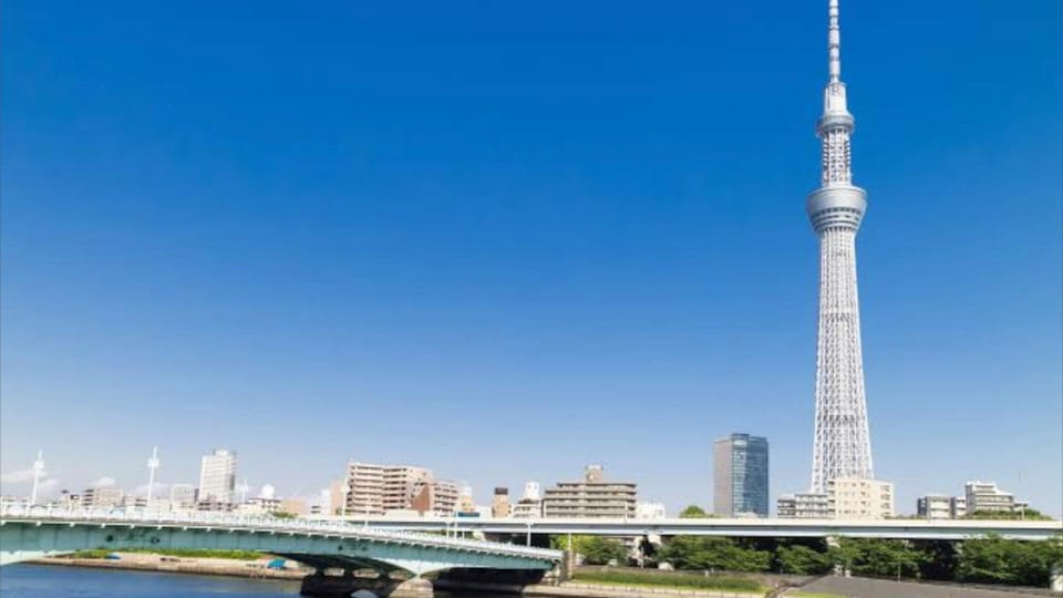 Tokyo: Customizable Private Guided Walking Tour - My Booking Advice: When You Should Say Yes