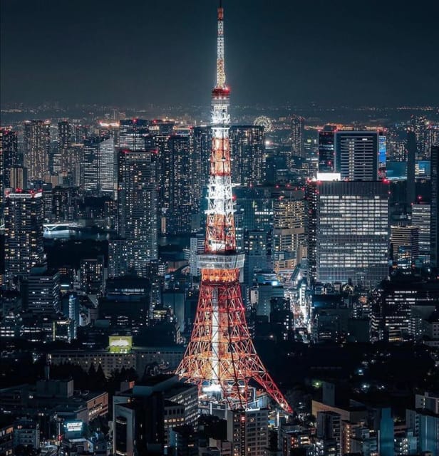 Tokyo Customizable Private Tour by Car & Van - Private Tokyo by car: the 8-hour rhythm that saves your day