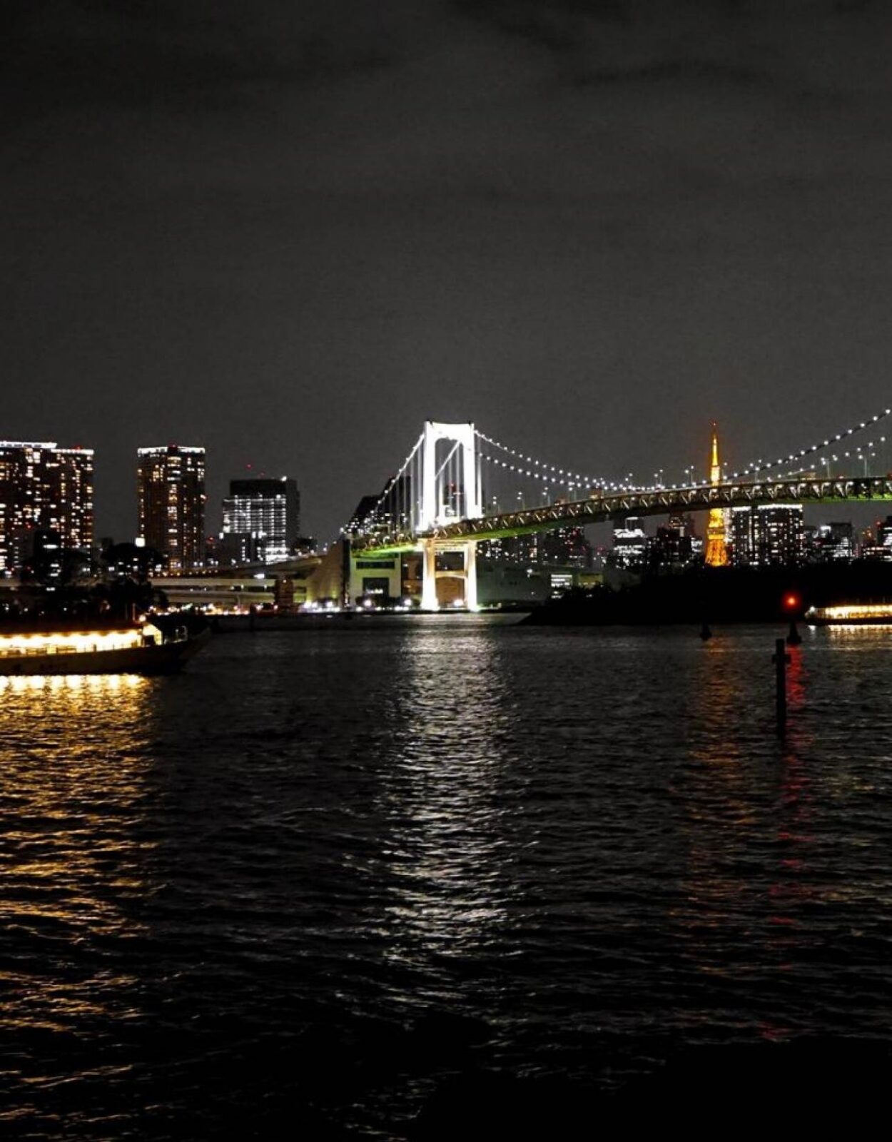 Tokyo Customizable Private Tour by Car & Van - Meiji Shrine and the Imperial Palace area: calm contrast in the middle of the day