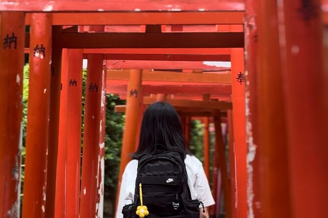 Tokyo Customizable Private Walking Tour with a Local Guide - What Happens During the Walk (And How Your Guide Shapes It)