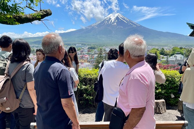 Tokyo: Customized Mt. Fuji & Hakone Sightseeing Private Day Trip - The Mt. Fuji Panoramic Ropeway: pay if you want extra height