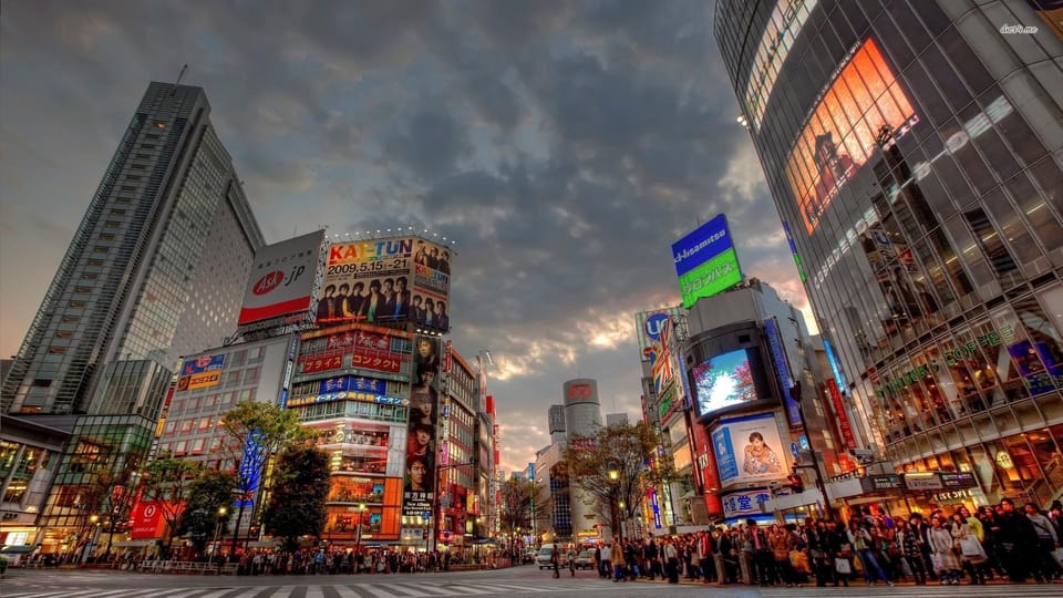 Tokyo: Customized Private Tour with a Local Guide - Key highlights to watch for