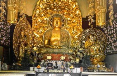 Tokyo: Day Trip to Kamakura in Spanish - Spanish - Tokyo Station to Kamakura: the logistics that save your time