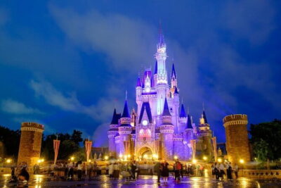 Tokyo Disney Resort Park E-Tickets with Options - E-Tickets in Tokyo: easy entry, but keep your proof ready