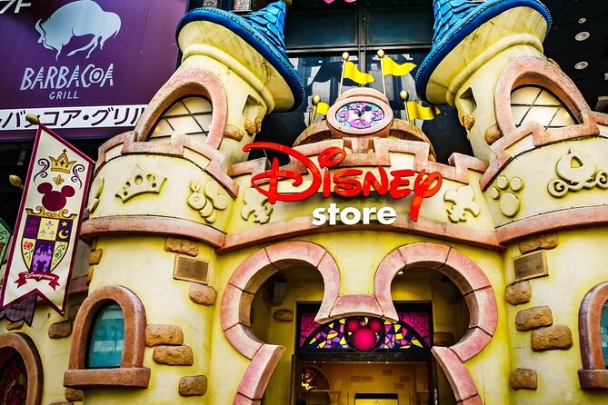 Tokyo Disneyland: 1-Day Ticket & Private Hotel Transfer - Provider notes: what to expect from Dida Go