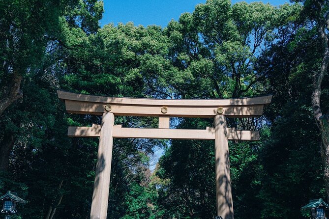 Tokyo Early Morning Tour Asakusa Meiji Shrine (Private Opt) - Why an Early Start Makes Tokyo Easier