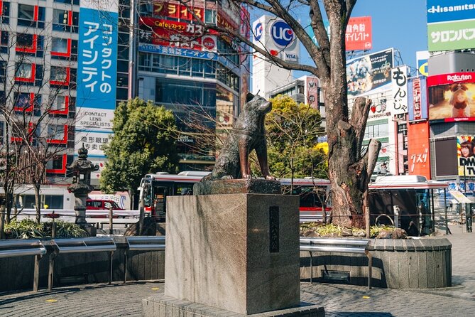 Tokyo Early Morning Tour Asakusa Meiji Shrine (Private Opt) - Price and Value: What $59.46 Buys (and What It Doesn’t)