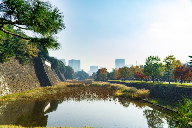 Tokyo: Edo Castle & East Garden of the Imperial Palace Tour - Getting oriented: Wadakura Fountain Park and your guide with Gotcha