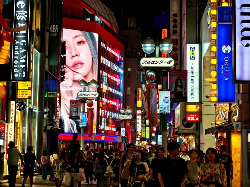 Tokyo: Evening Tour - Temples, Neon Streets & Culture - Key things I’d watch for