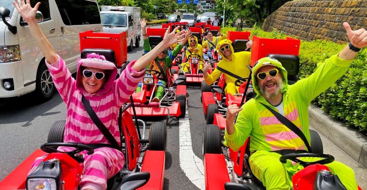 Tokyo: Flagship 2-Hour Street Go-Kart Tour by Street Kart - Driving documents in Japan: the part that decides whether you can go at all