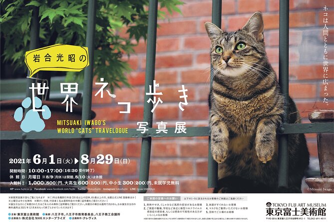 Tokyo Fuji Art Museum Admission Ticket + Special Exhibition (when being held) - Should You Book the Tokyo Fuji Art Museum Ticket?