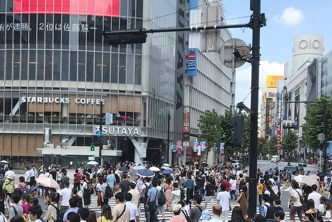 Tokyo Full Course Tour: Explore 10 Must-See Sights & Hidden Gems - Akihabara: When Subculture Turns Into a Walkable World