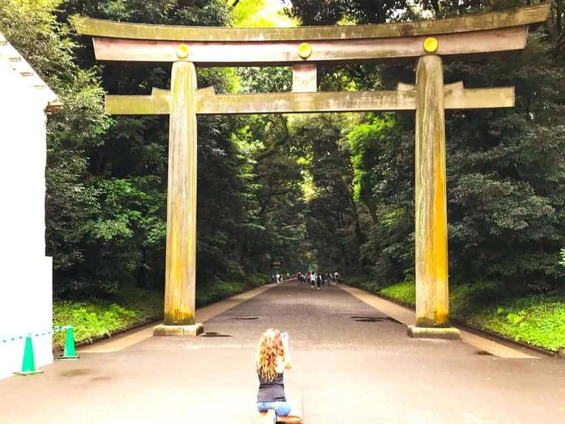 Tokyo: Full Course Tour: Explore 15 Must-Sees & Hidden Gems - Key highlights worth getting excited about