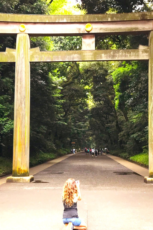 Tokyo: Full Course Tour: Explore 15 Must-Sees & Hidden Gems - Harajuku Fashion Street: Youth Culture, Street Energy, and Street Food Choices