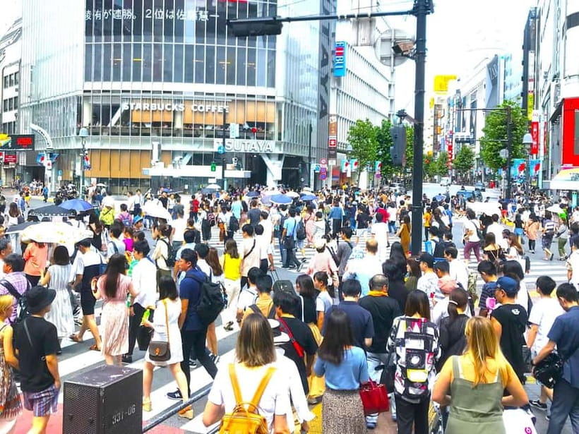 Tokyo: Full Course Tour: Explore 15 Must-Sees & Hidden Gems - Shibuya Hachiko and Scramble Crossing: The Iconic Stops That Still Matter