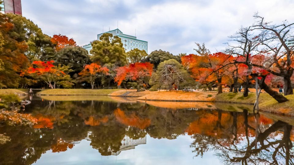 Tokyo: Full-Day Japanese Garden Private Guided Tour - How the 6-hour private garden day is set up