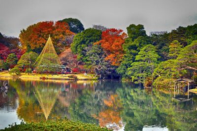 Tokyo: Full-Day Japanese Garden Private Guided Tour - Imperial Palace gardens: a formal start with real Japanese-style pacing