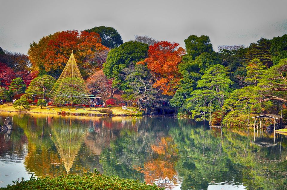 Tokyo: Full-Day Japanese Garden Private Guided Tour - Imperial Palace gardens: a formal start with real Japanese-style pacing