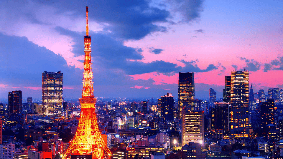 Tokyo Full day Private Customized Tour with English Driver - Key things to know before you go