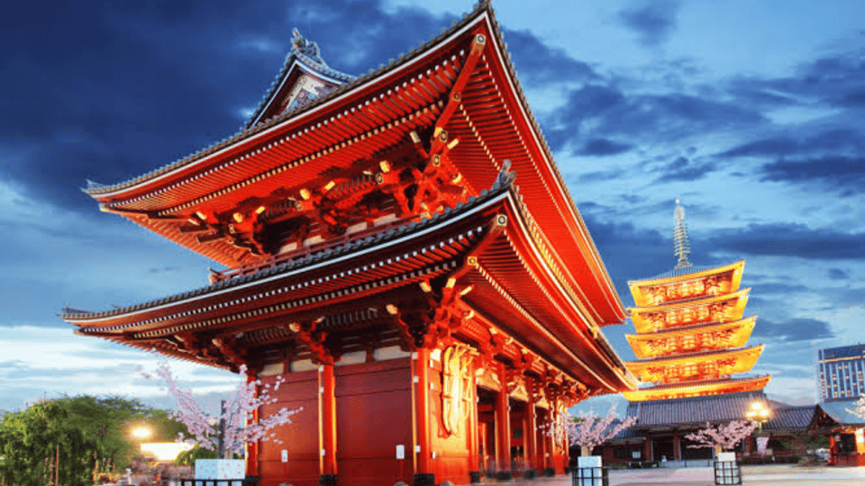 Tokyo Full day Private Customized Tour with English Driver - The best way this private Tokyo day “makes sense”