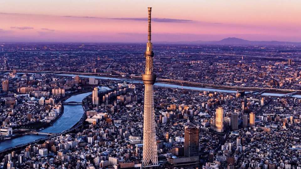 Tokyo Full day Private Customized Tour with English Driver - Tsukiji Fish Market: start with food culture, not just photos