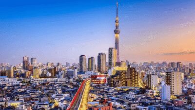 Tokyo Full day Private Customized Tour with English Driver - Pickup by car: comfort, languages, and the small-group reality