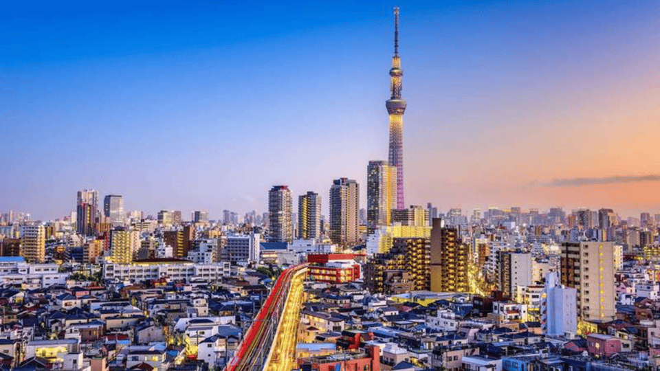 Tokyo Full day Private Customized Tour with English Driver - Pickup by car: comfort, languages, and the small-group reality