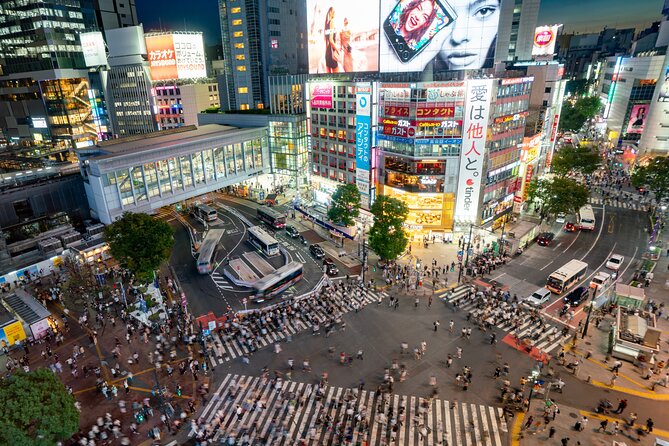 Tokyo Full-Day Private Tour (Customizable) - Timing, Walking, and What to Prepare