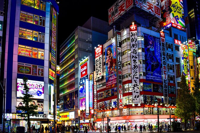 Tokyo Full-Day Private Tour (Customizable) - Who This Tour Is Best For
