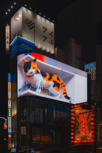 Tokyo full day Spanish speaking tour with hotel pick up and drop off. - Akihabara: Otaku Culture and Electronics Under a Guide’s Eye