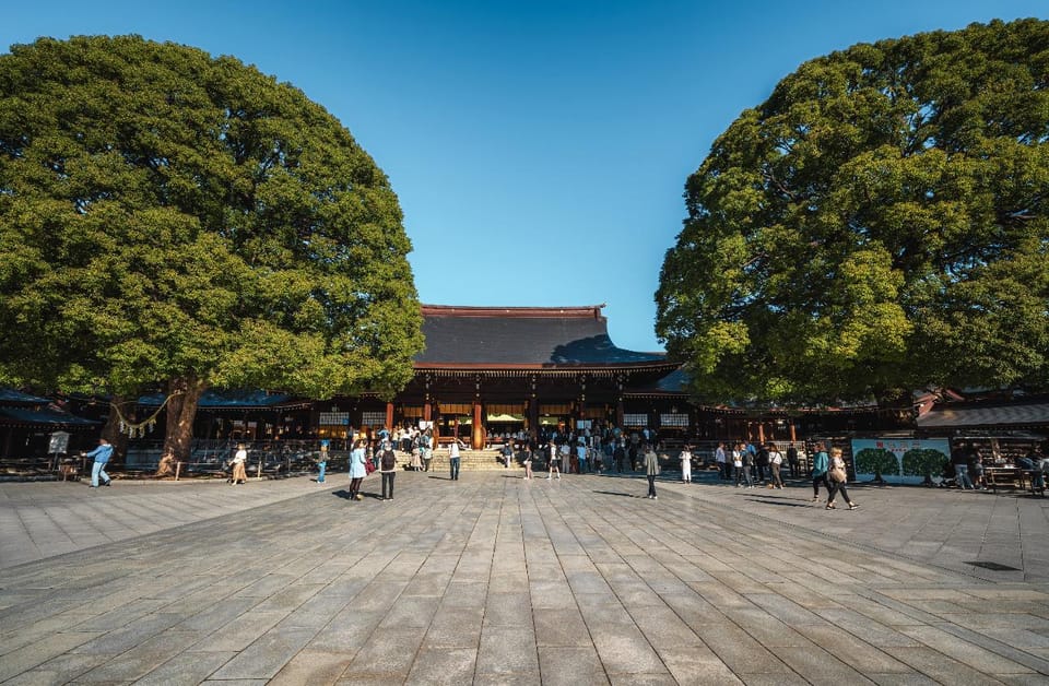 Tokyo full day Spanish speaking tour with hotel pick up and drop off. - Price and Value: What $386 Per Group Really Buys You