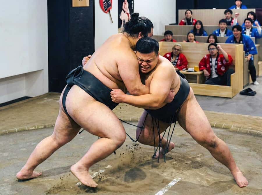 Tokyo Ginza : Sumo and Mikoshi Experience,Open from Sep. - Key things that make this Ginza sumo event special