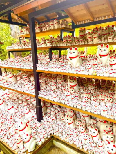 Tokyo: Gotokuji Cat Temple, Shinjuku Cat Cafe & 3D Cat Tour - Shinjuku’s Giant 3D Cat: the quick photo moment that sets the tone