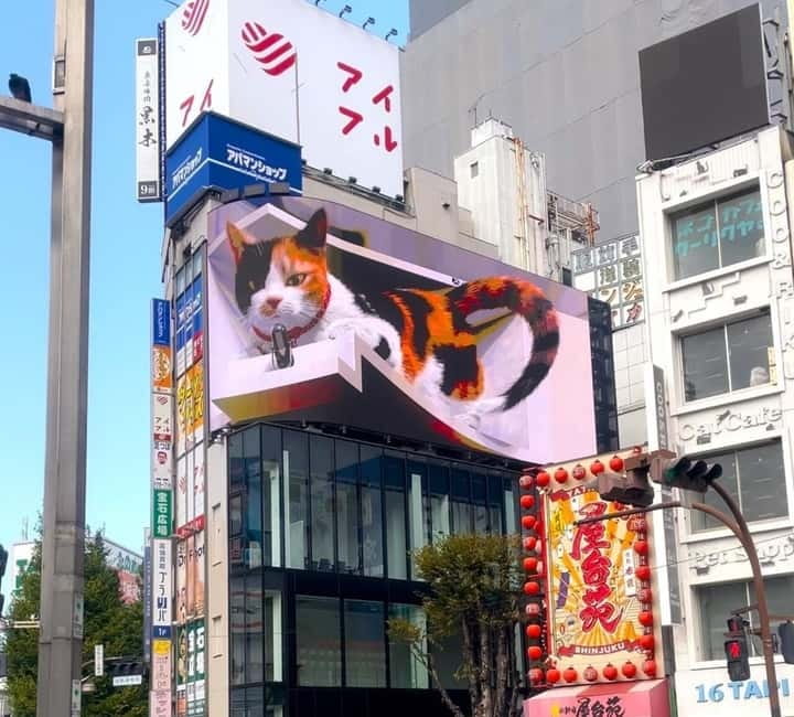 Tokyo: Gotokuji Cat Temple, Shinjuku Cat Cafe & 3D Cat Tour - The Honshu shopping street near Gotokuji: cat snacks and gifts that feel local