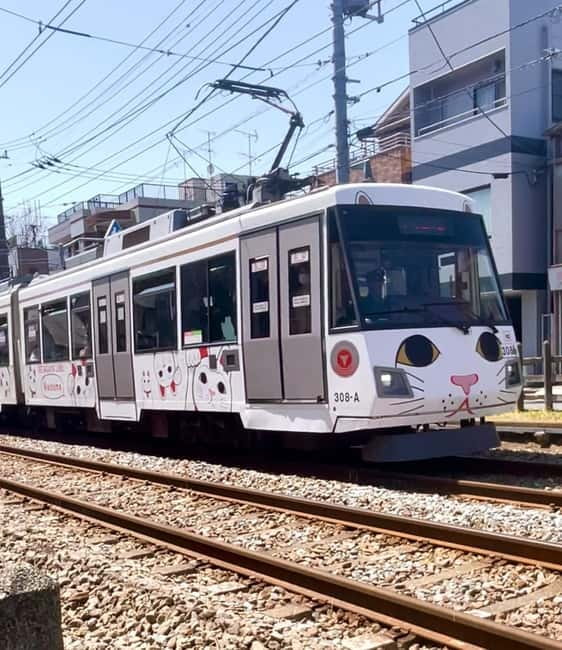 Tokyo: Gotokuji Cat Temple, Shinjuku Cat Cafe & 3D Cat Tour - Pacing, group size, and why 150 minutes is the right length