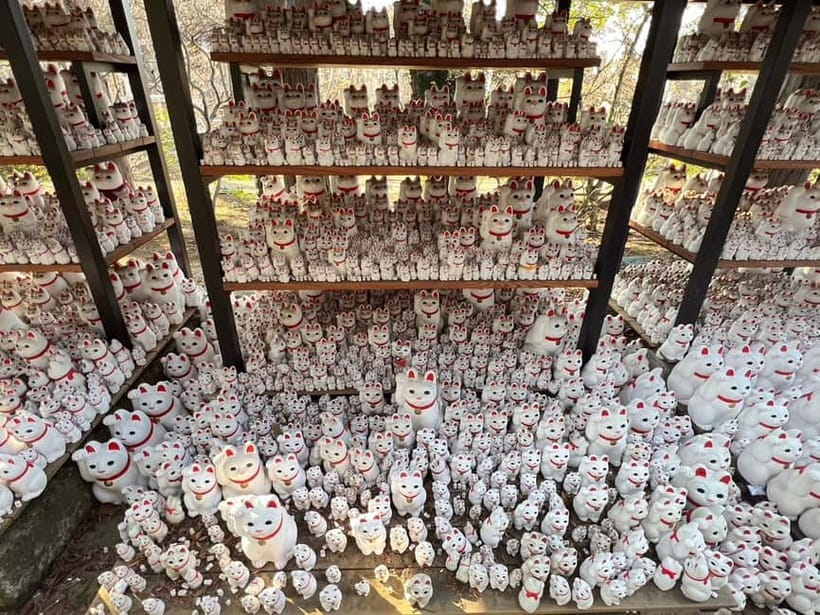 Tokyo: Gotokuji Culture Walk & Lucky Cat Temple Experience - Booking tips before you go