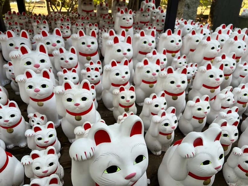 Tokyo: Gotokuji Culture Walk & Lucky Cat Temple Experience - Getting there and meeting the guide at Gotokuji Station