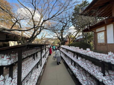 Tokyo: Gotokuji Culture Walk & Lucky Cat Temple Experience - First look at Gotokuji: the 15-minute photo stop