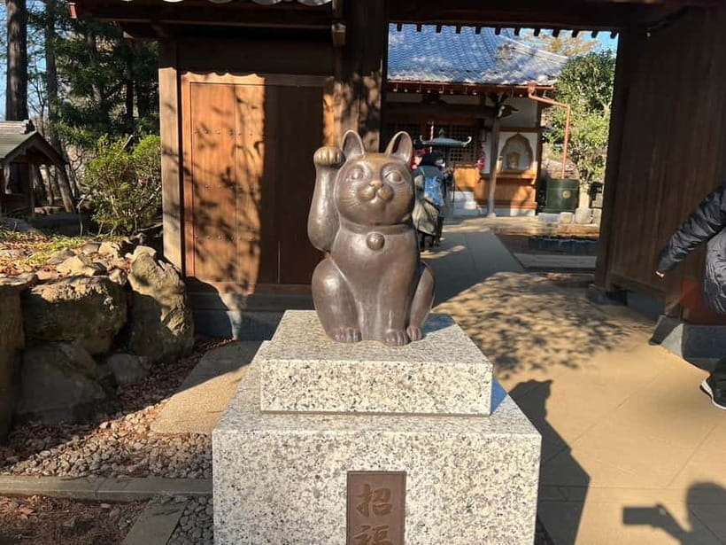Tokyo: Gotokuji Culture Walk & Lucky Cat Temple Experience - Cat-shaped sweets: a cute souvenir you’ll actually enjoy