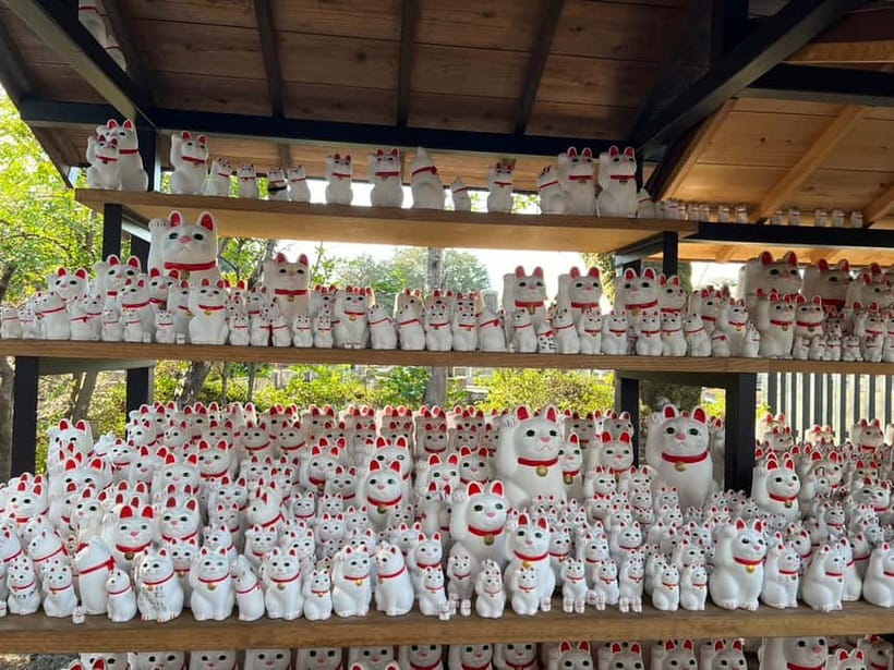 Tokyo: Gotokuji Culture Walk & Lucky Cat Temple Experience - Who this tour fits best (and who should tweak the plan)