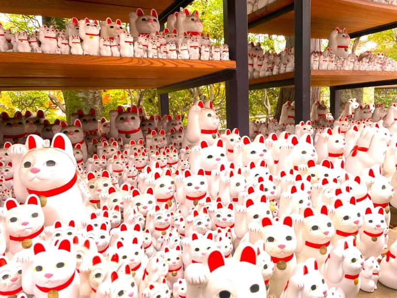 Tokyo: Gotokuji Lucky Cat Temple & Harajuku Cat Cafe Tour - Why a cat temple and Harajuku cat vibes work so well together
