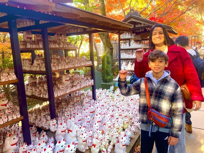 Tokyo: Gotokuji Lucky Cat Temple & Harajuku Cat Cafe Tour - The train stretch (and why it’s included even if it costs extra)