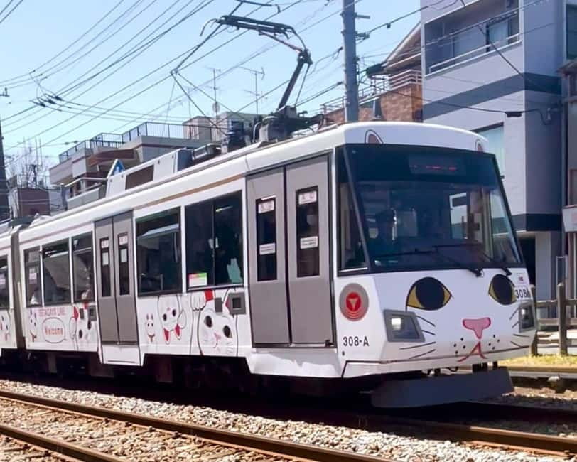 Tokyo: Gotokuji Lucky Cat Temple & Harajuku Cat Cafe Tour - Price and logistics: is $53 good value for this route?